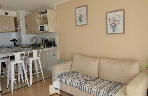 Chillan Apartment | Departamento Centro Chillan - Parking -Vista