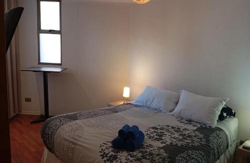 Bellas Artes Apartment | Departamento con encanto cerca de Bellas Artes y Lastarria