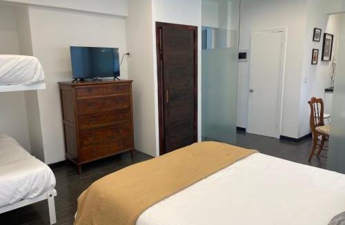Barrio Italia Apartment | Departamento en Providencia, Barrio Italia