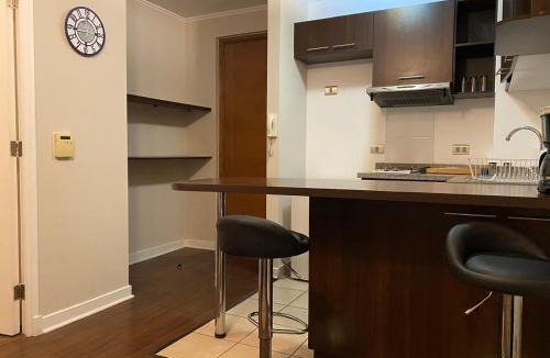 Downtown Santiago Apartment | Departamento en Santiago, ubicación privilegiada, WiFi