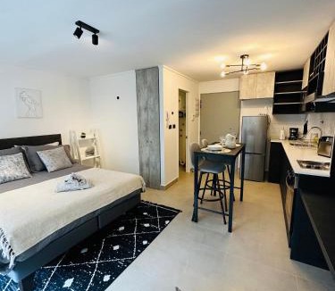 Concepcion Apartment | Departamento Estudio
