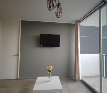 La Cisterna Apartment | Departamento Evert14