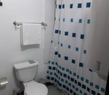 Downtown Santiago Apartment | Departamentos Altomoneda Vidaurre