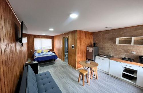 Cochrane Apartment | Departamentos Confluencia