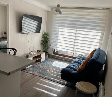 Chillan Apartment | Depto Nuevo Chillan Centro 2D-2B-E privado