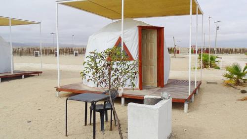Bahia Inglesa Other | DOMO CAMPING