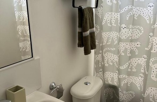 Villarrica Apartment | DPTO EN VILLARRICA