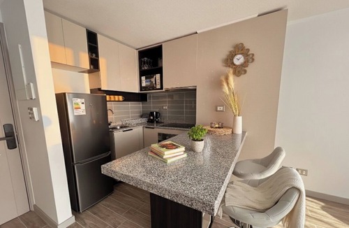 Downtown Santiago Apartment | Eco España/Movistar Arena Santiago by Domus