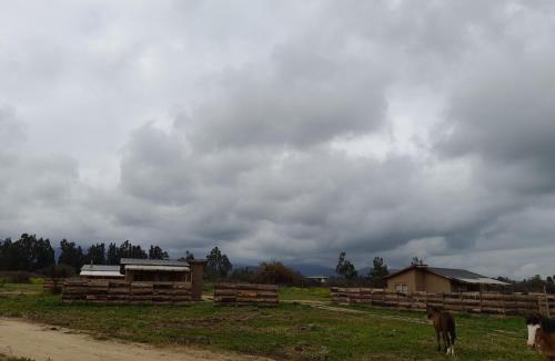 Zapallar House | Eco Parcela La Chacra