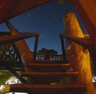 El Molle House | Encantadora Casa del Árbol en el Valle del Elqui!