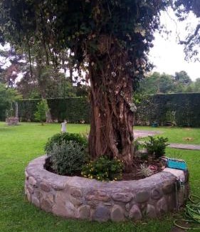San Salvador de Jujuy House | ESCAPADA PERFECTA EN YALA CASA COn PILETA QUINCHO Y ENTORNO NATURAL