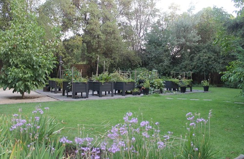 Colina House | Escape to the forest! - Vintage House (Chicureo)