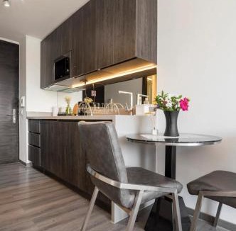 Downtown Santiago Apartment | Espectacular Apart Santiago Vista a la cordillera