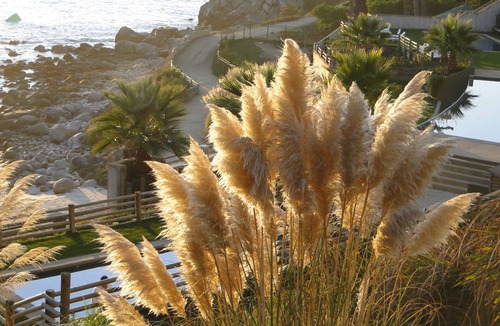 Algarrobo Apartment | Fabulous Apartment with Gorgeous view