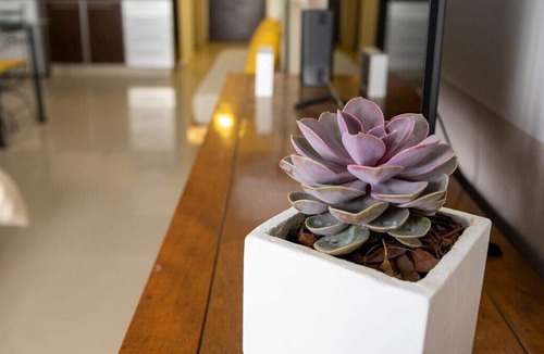 Balvanera Apartment | Fliphaus + Ayacucho 500 - Petit Apt. Congress