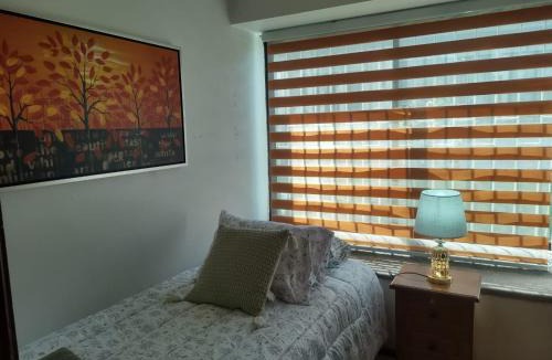 Osorno Apartment | Garcia hurtado departamento diario