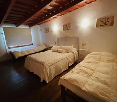Centro Apartment | Garden Loft