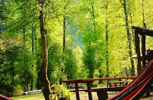 Curarrehue Other | Glamping Pods Saltos Pocolpén