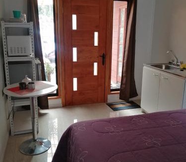 Conaripe Apartment | Habitación doble