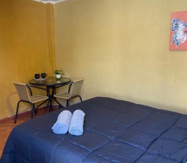 Curico Hotel | Habitación doble Love