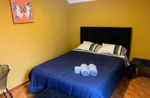 Curico Hotel | Habitación doble Love