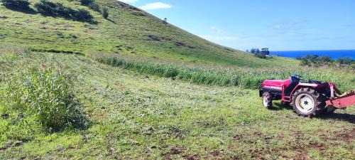 Hanga Roa House | Hare Ariki Koreto
