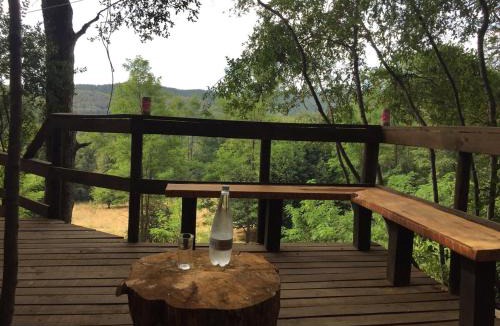 Pinto House | Hermosa Cabaña Rústica Bosque Ámbar