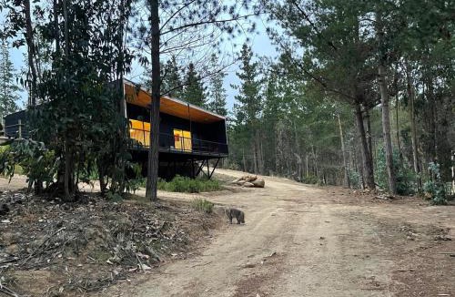 El Quisco House | Hermosa casa en el bosque
