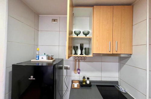 Concepcion Apartment | Hermoso departamento en parque urbano 1