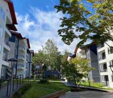 Pucon Apartment | Hermoso Departamento para disfrutar y descansar