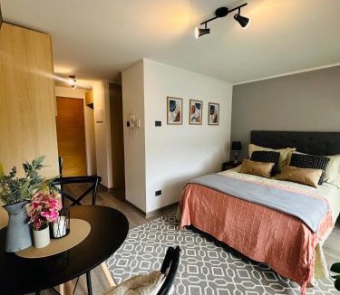 Concepcion Apartment | Hermoso Estudio