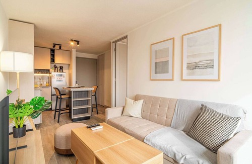 Downtown Santiago Apartment | HOM I WiFi Calefacción Gimnasio Movistar Arena