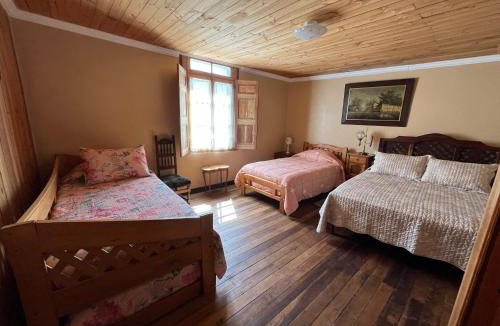 Vicuna House | Hostal Casa Rosada, Valle del Elqui