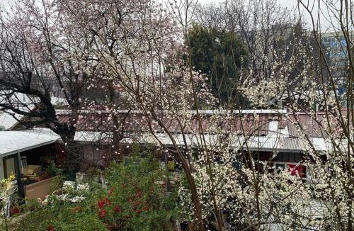 Angol House | Hostal Gina