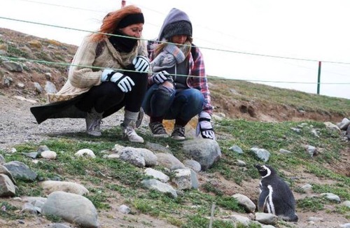 Punta Arenas Hostel | Hostel ∙ 30 guests