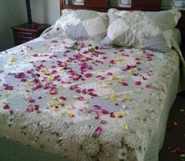 Rancagua Hotel | Hotel Doria