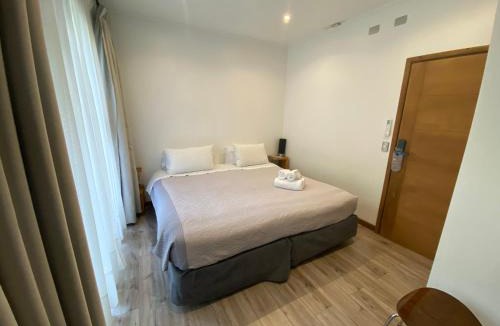 Pucon Hotel | Hotel Lagoluz