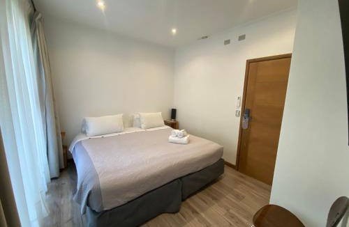 Pucon Hotel | Hotel Lagoluz