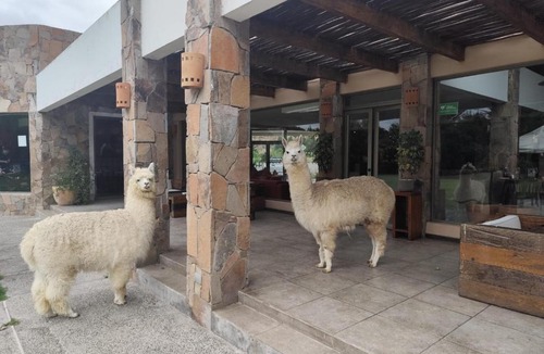 Ovalle Hotel | Hotel Limari