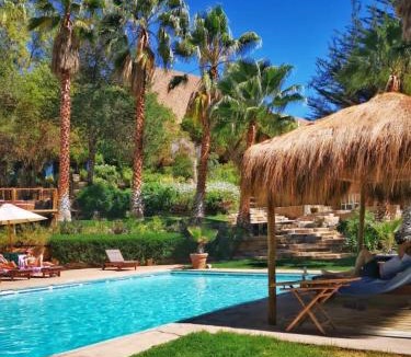 Pisco Elqui Bed & Breakfast | Hotel Misterios del Elqui