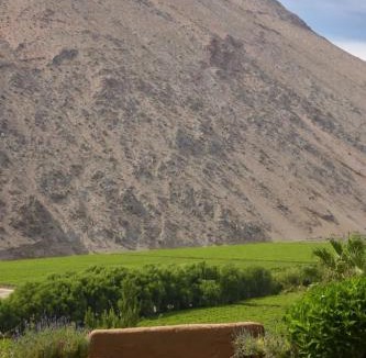 Pisco Elqui Bed & Breakfast | Hotel Misterios del Elqui