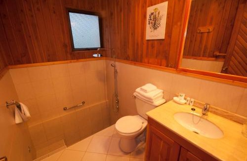Pucon Hotel | Hotel y Termas Huife