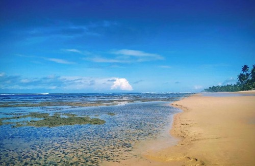 Barra Grande House | House