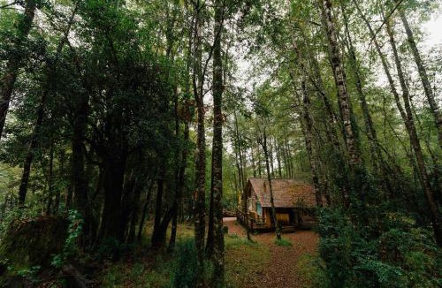 Neltume Cabin | Huilo Huilo Cabañas del Bosque
