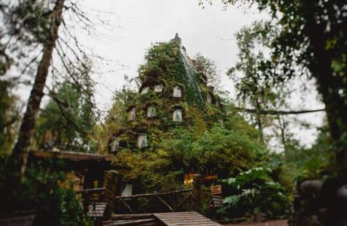 Neltume Cabin | Huilo Huilo Montaña Mágica