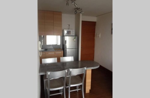 Downtown Santiago Apartment | Impecable departamento santiago centro