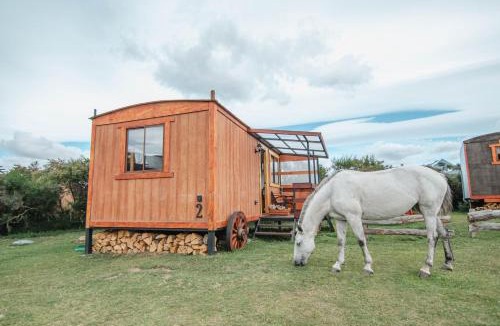 Torres Del Paine Cabin | Konkashken Lodge