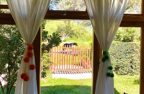 Yala House | La Pichonita