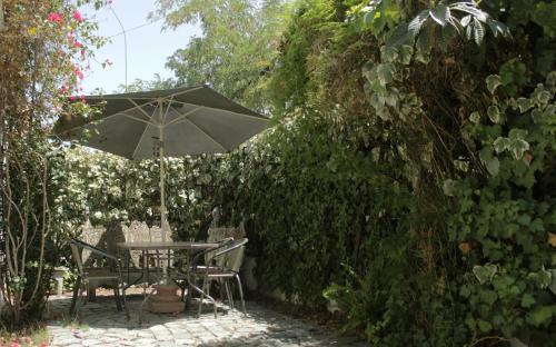 Providencia House | Linda casa para grupos/familias