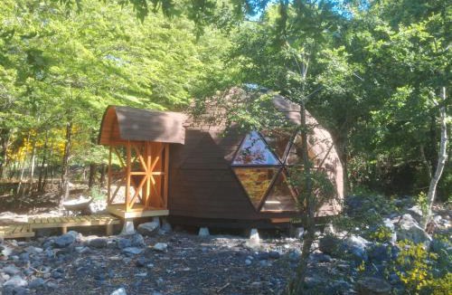Pucon House | Lodge Domos Awen